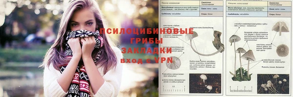 не бодяженный Беломорск