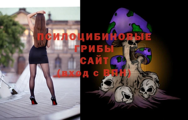 гашик Белокуриха