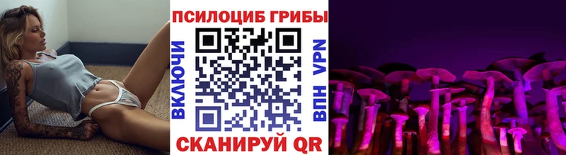 Галлюциногенные грибы Psilocybe  Бутурлиновка 